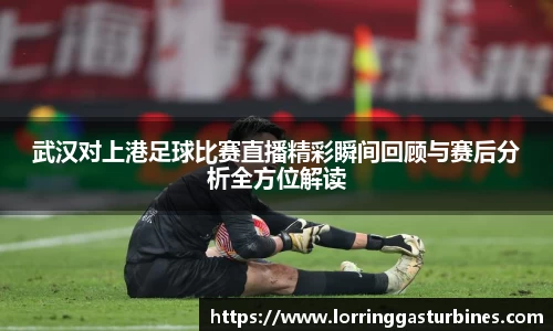 武汉对上港足球比赛直播精彩瞬间回顾与赛后分析全方位解读